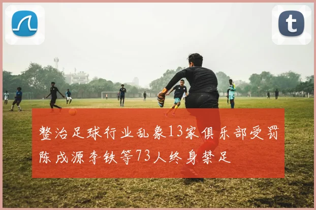 整治足球行业乱象13家俱乐部受罚陈戌源李铁等73人终身禁足